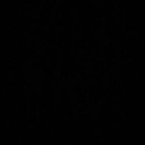 Fall/winter jacket size small NWT